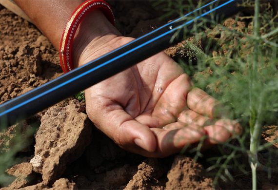 Spowdi & SEWA Collaborate to Empower Women Farmers with Sustainable Smart Farming