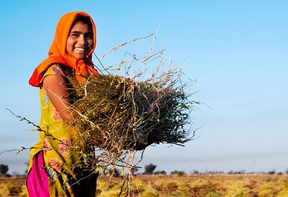 Flipkart partners with NRLM to Empower Rural Women Entrepreneurs in Haryana