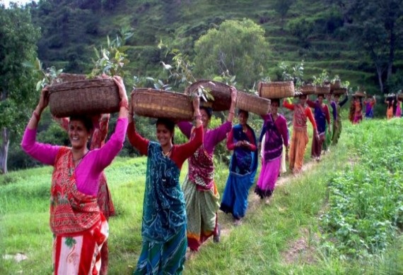 Women Farmers Key for Making Indian Agriculture Self-Reliant says Indian Government