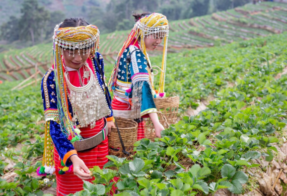 UN & Norway Partner for Women Farmers in Assam