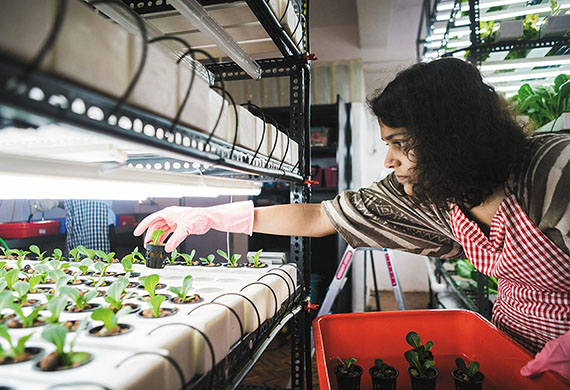 Delhi Govt. Offers Hydroponics Training to Women from Underprivileged Communities 