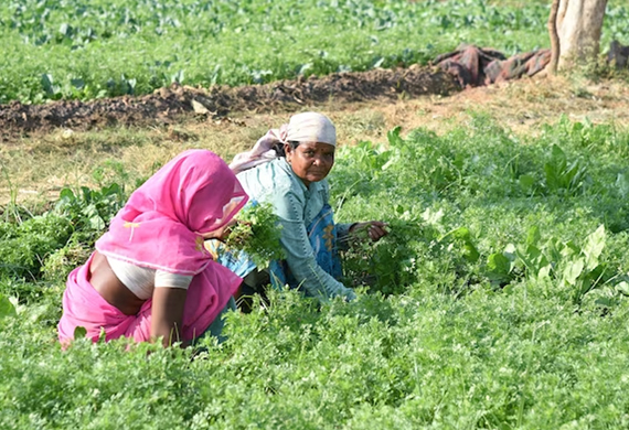 DS Group releases Campaign Film Highlighting Indian Female Farmers