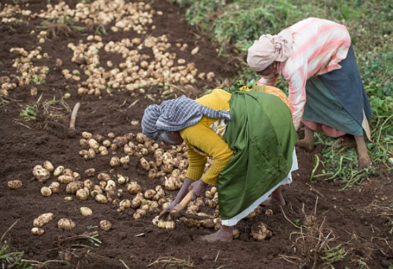 PepsiCo India and USAID collaborates to empower women farmers in West Bengal